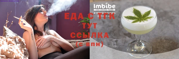 ГАЛЛЮЦИНОГЕННЫЕ ГРИБЫ Козловка