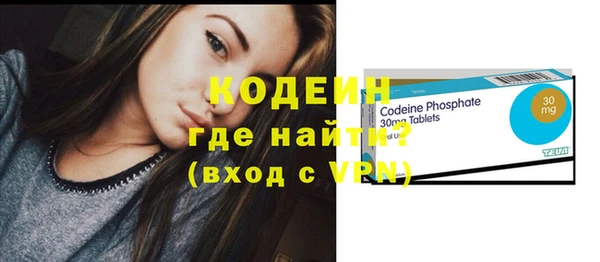 индика Козельск