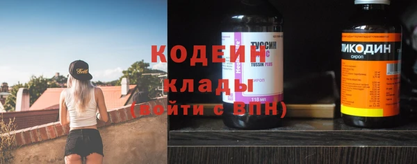 гидра Киренск