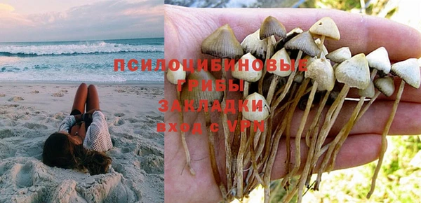 гидра Киренск