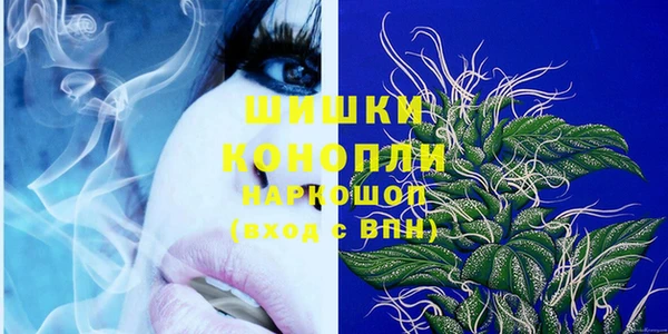 ГАЛЛЮЦИНОГЕННЫЕ ГРИБЫ Козловка