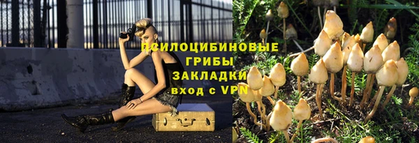 a pvp Киреевск