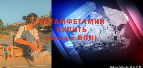 индика Козельск