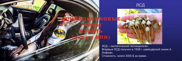 a pvp Киреевск