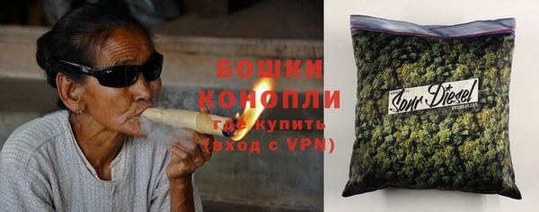 гидра Киренск