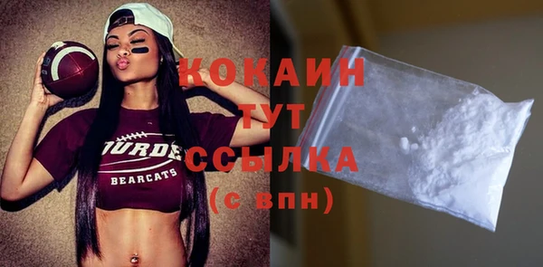 индика Козельск