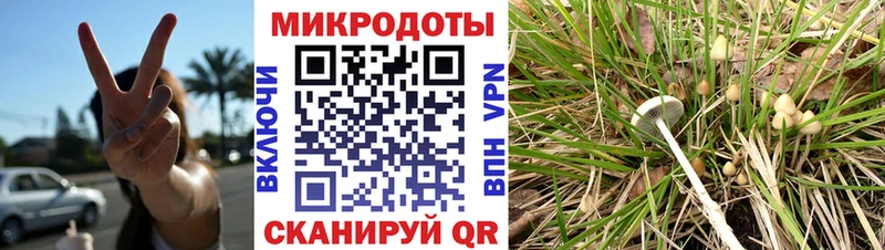 Купить закладки  Железноводск  Галлюциногенные грибы GOLDEN TEACHER 